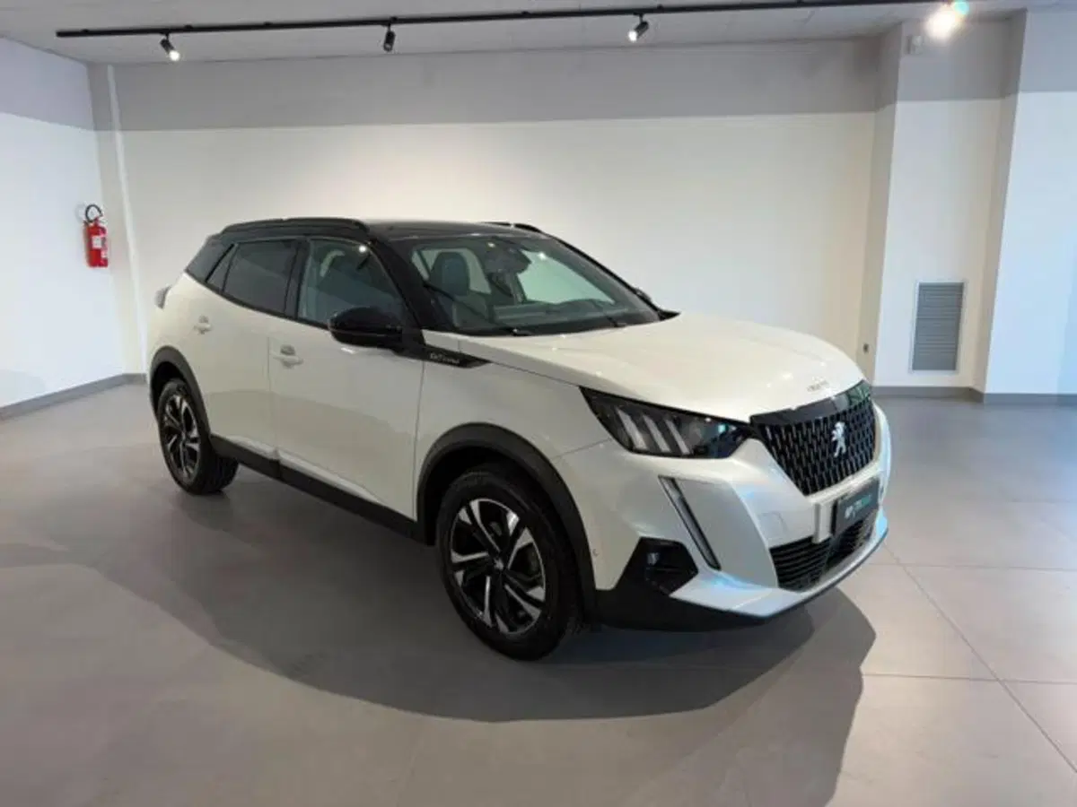 Peugeot 2008 usata a Salerno (2)