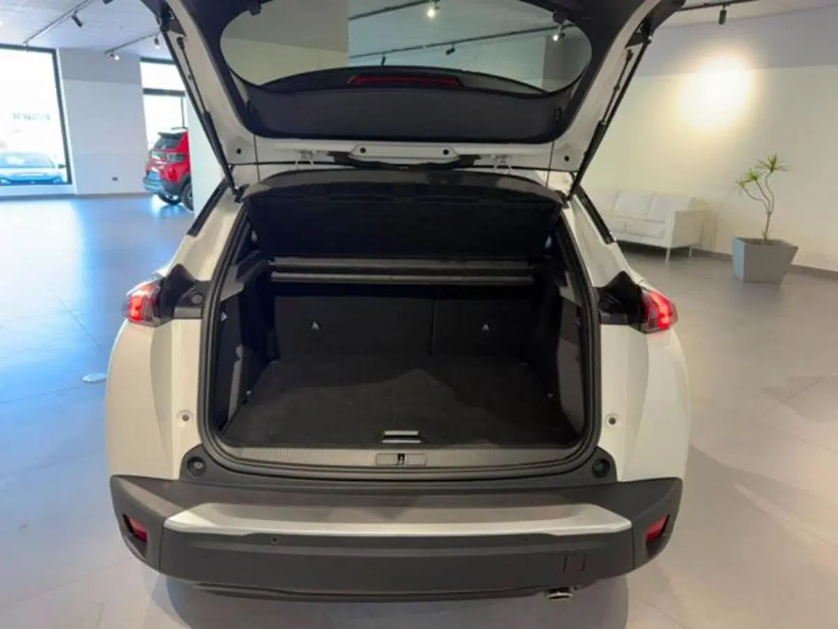 Peugeot 2008 usata a Salerno (20)