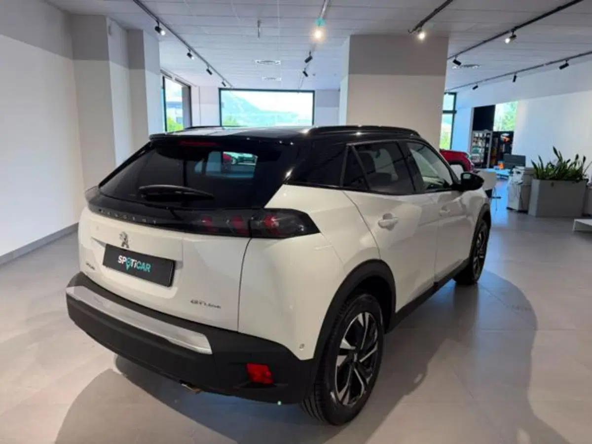 Peugeot 2008 usata a Salerno (4)