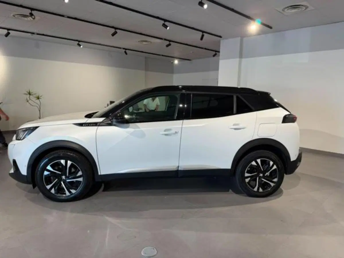Peugeot 2008 usata a Salerno (7)