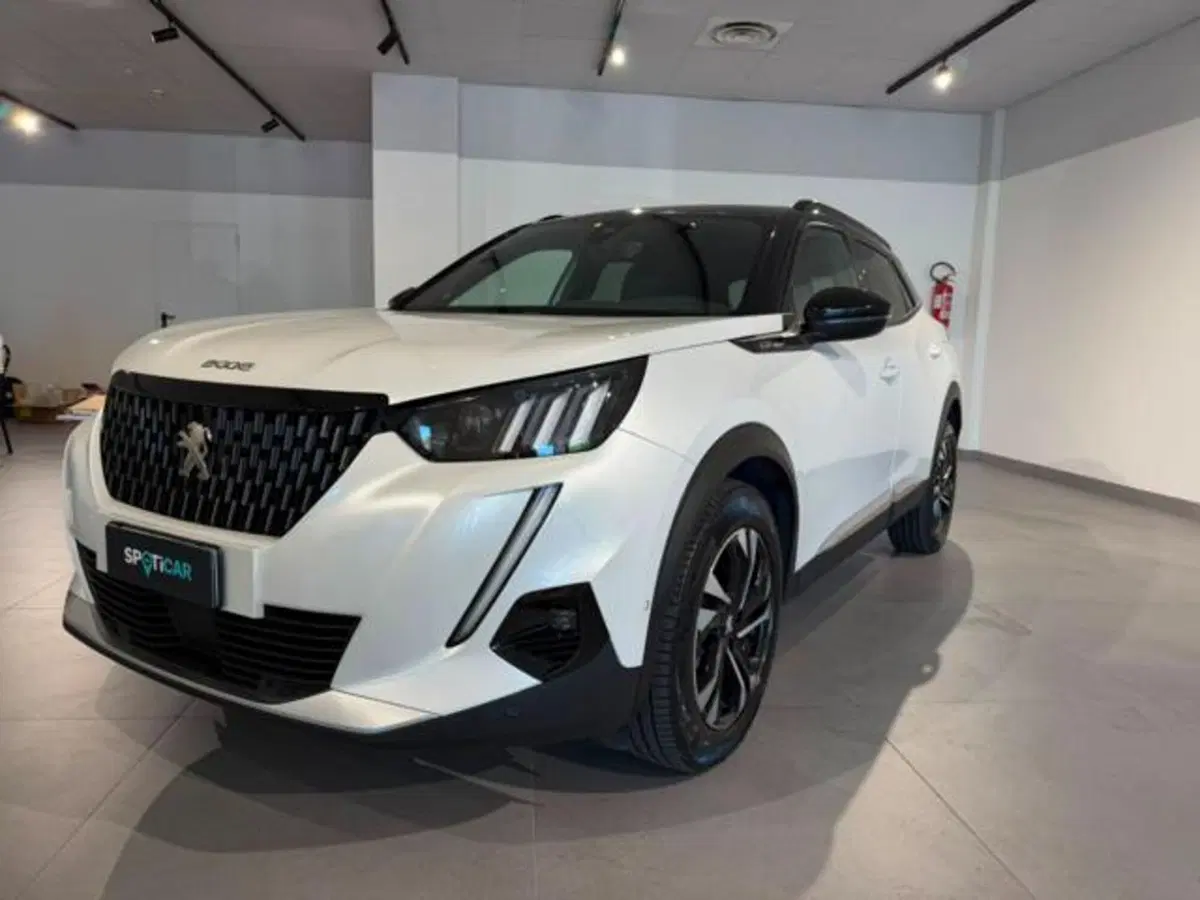 Peugeot 2008 usata a Salerno (8)