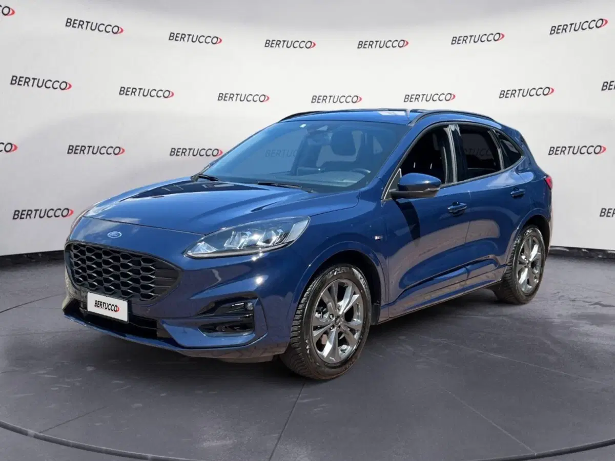 Ford Kuga usata a Verona (3)
