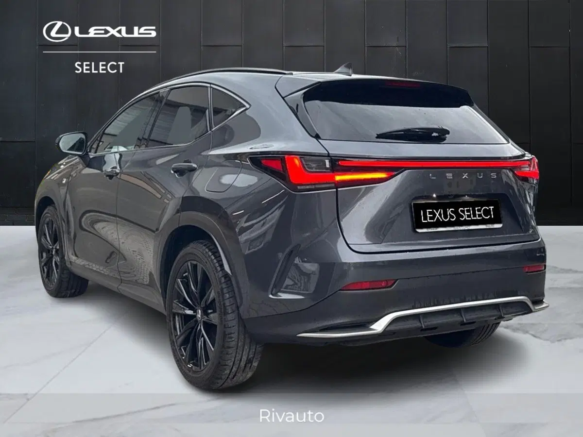 Lexus NX usata a Como (5)