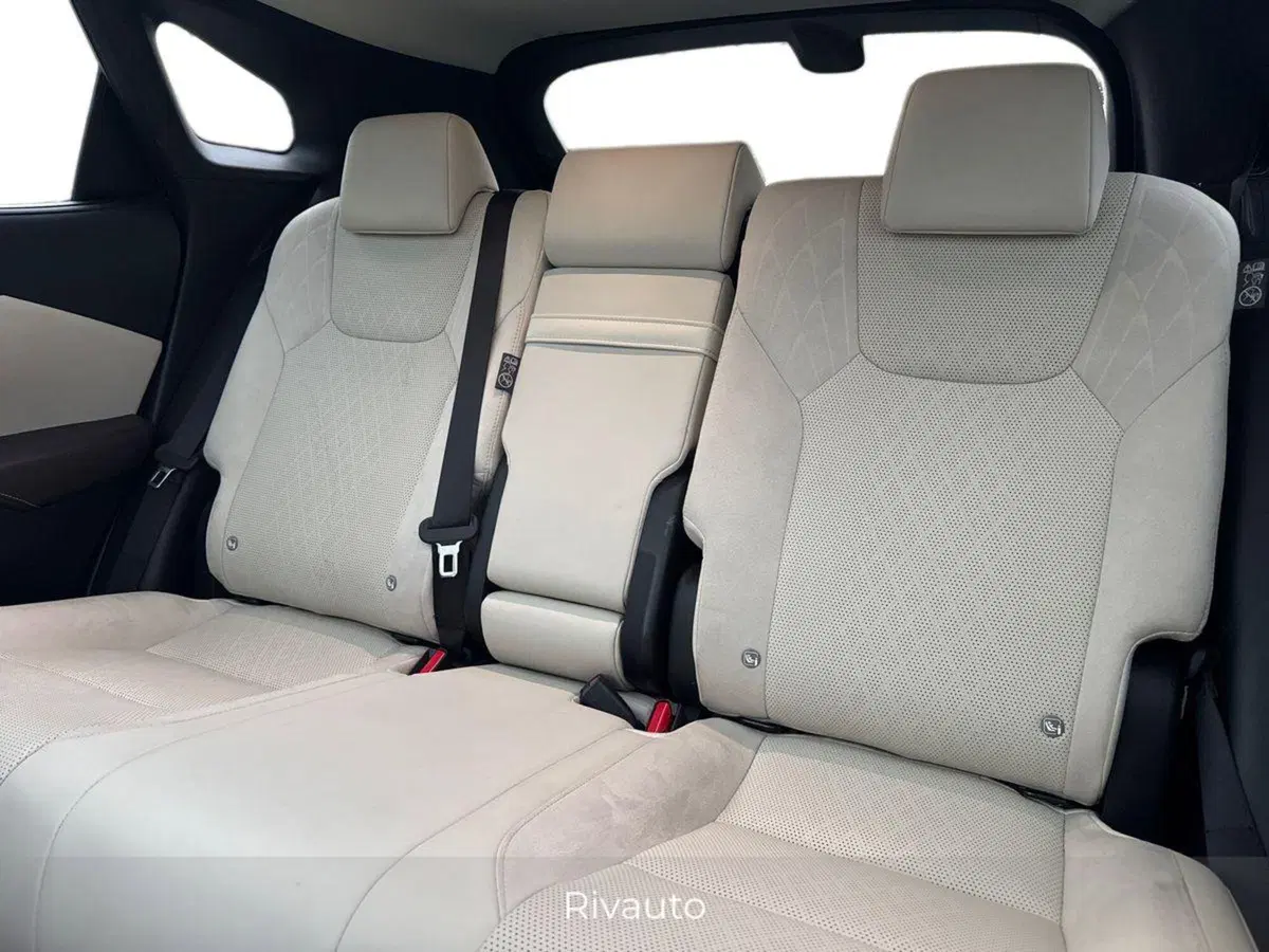 Lexus RX usata a Como (11)