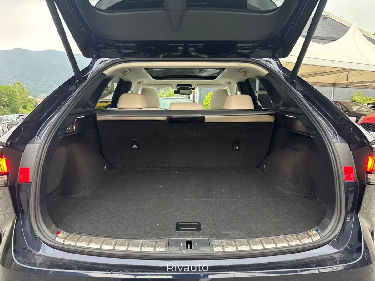 Lexus RX usata a Como (6)