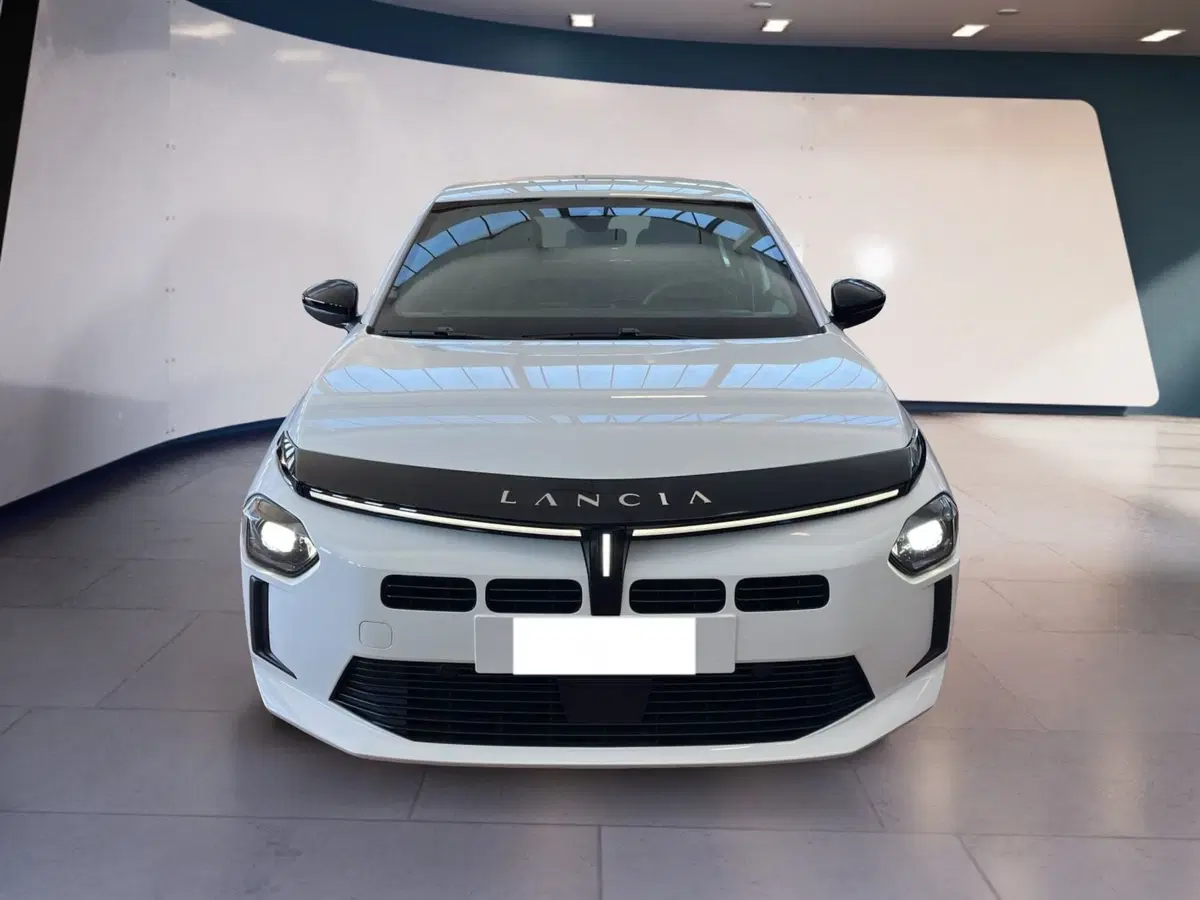 Lancia Ypsilon usata a Torino