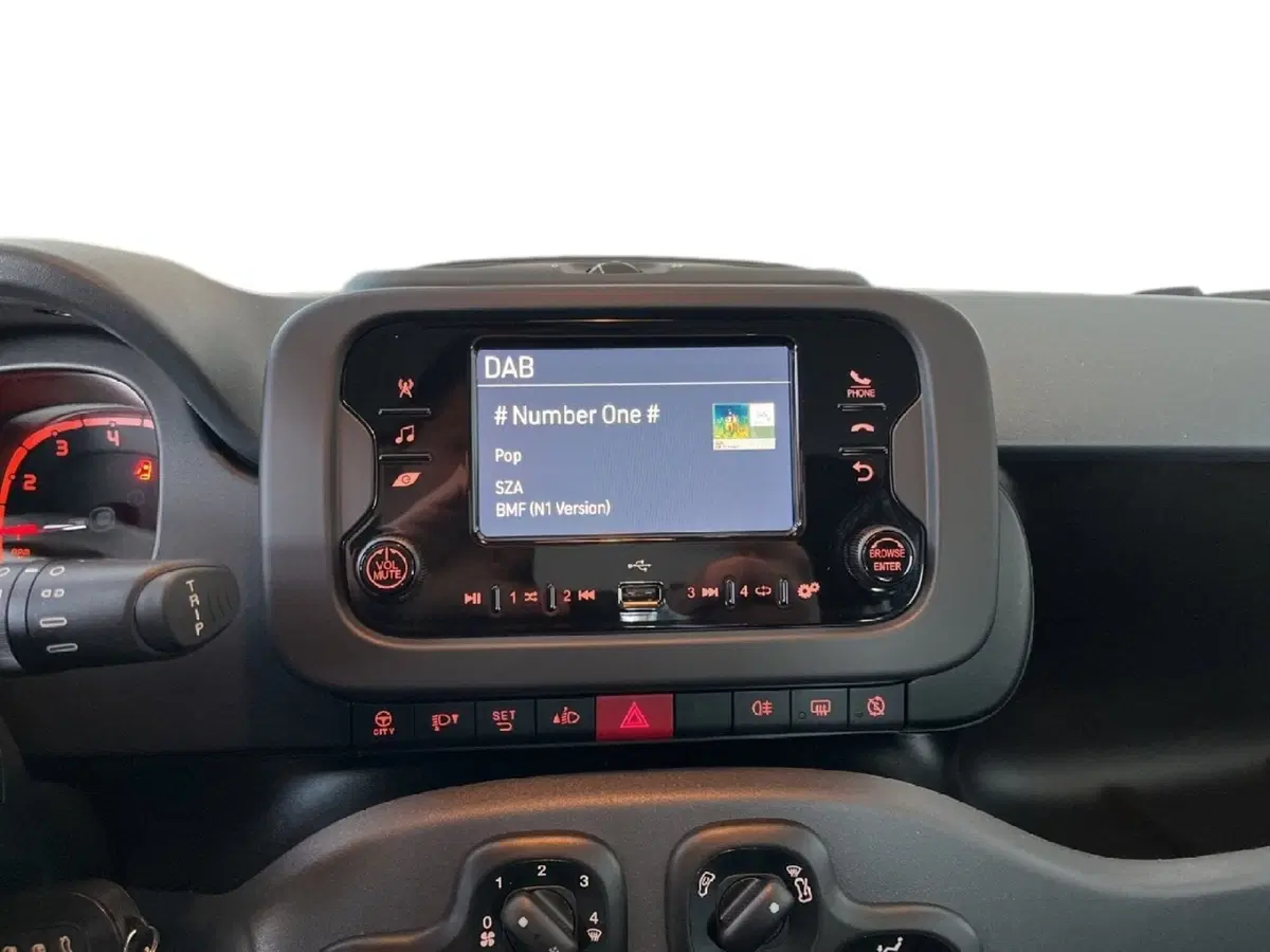 Fiat Panda Cross usata a Torino (12)