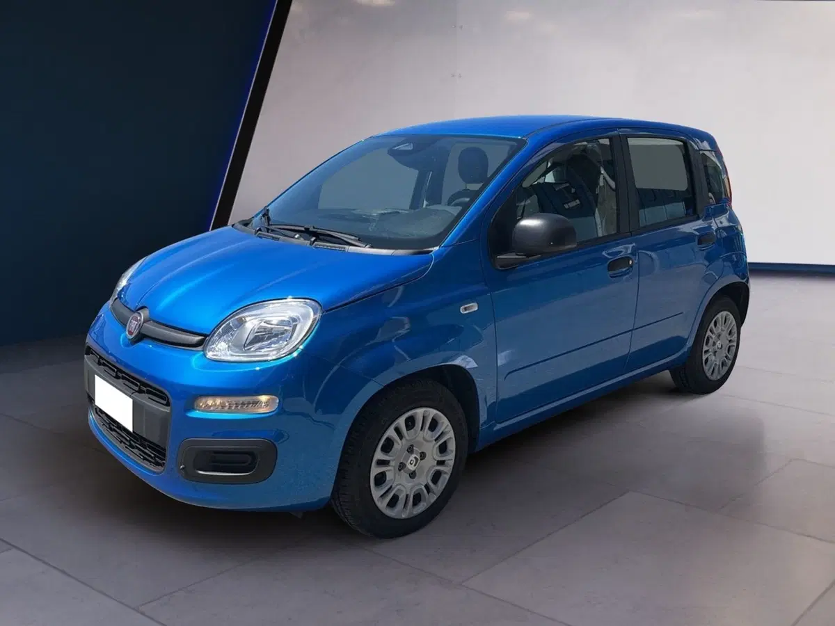 Fiat Pandina usata a Torino (2)