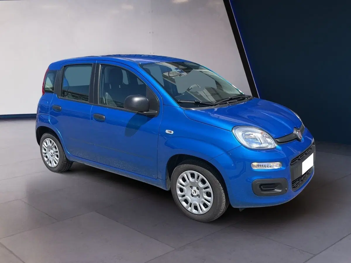 Fiat Pandina usata a Torino (3)