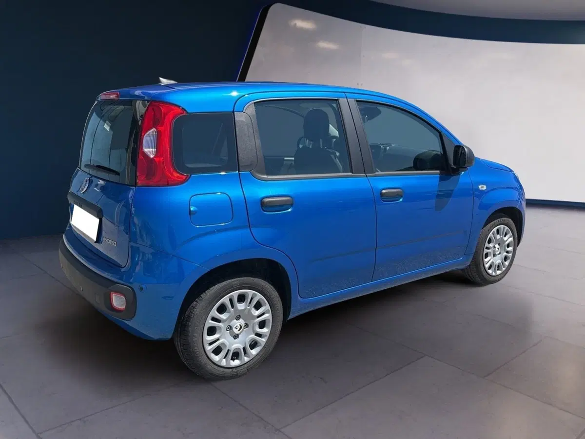 Fiat Pandina usata a Torino (4)