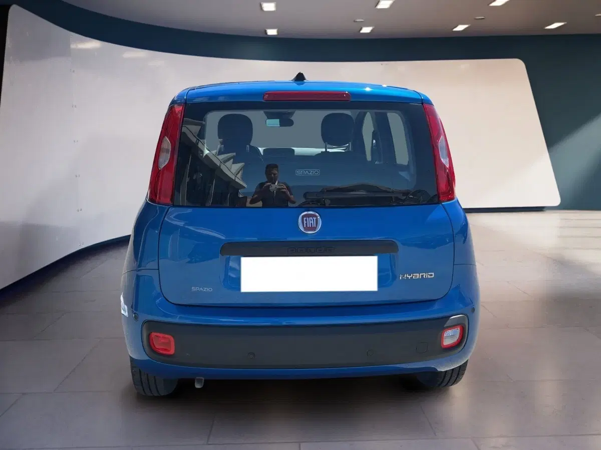 Fiat Pandina usata a Torino (5)