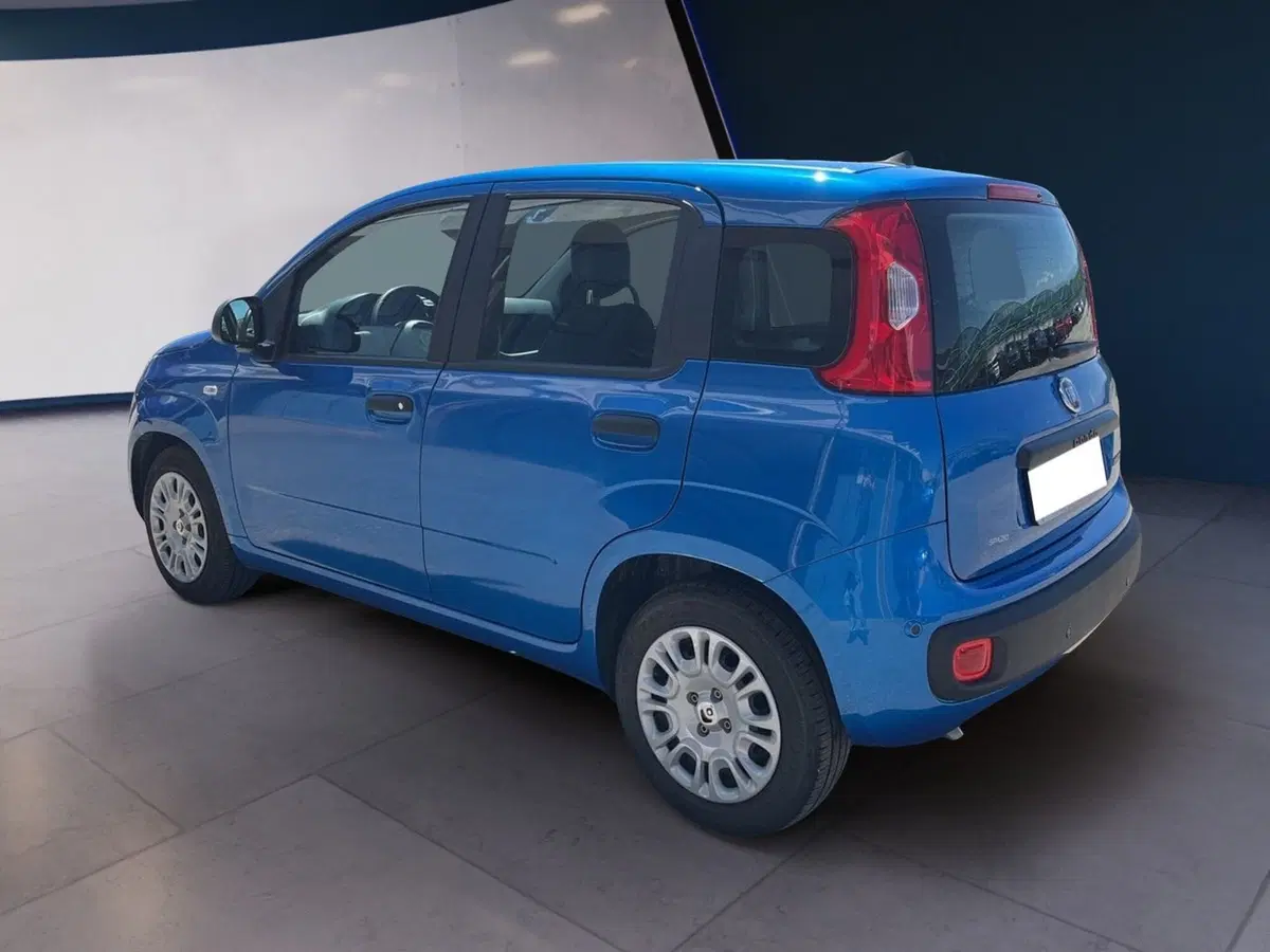 Fiat Pandina usata a Torino (6)