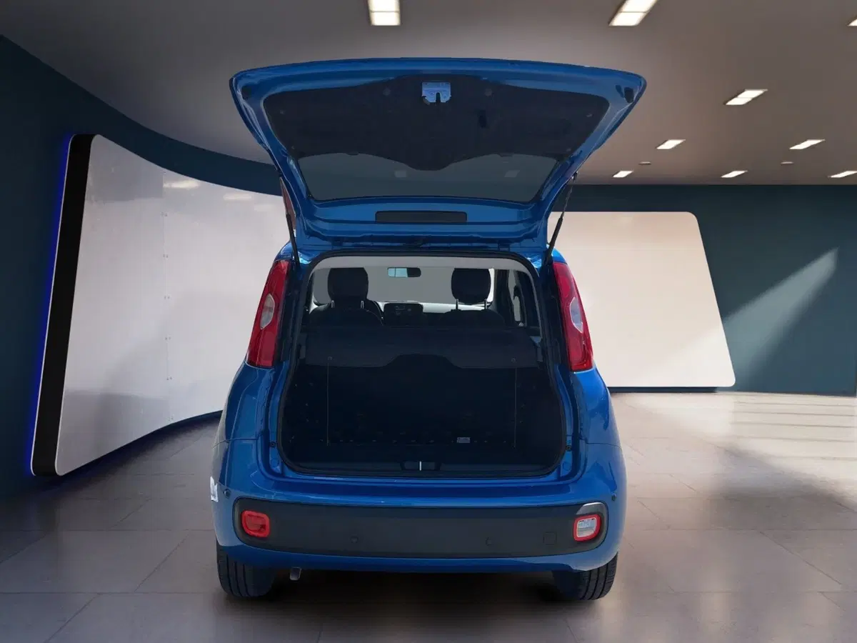 Fiat Pandina usata a Torino (7)