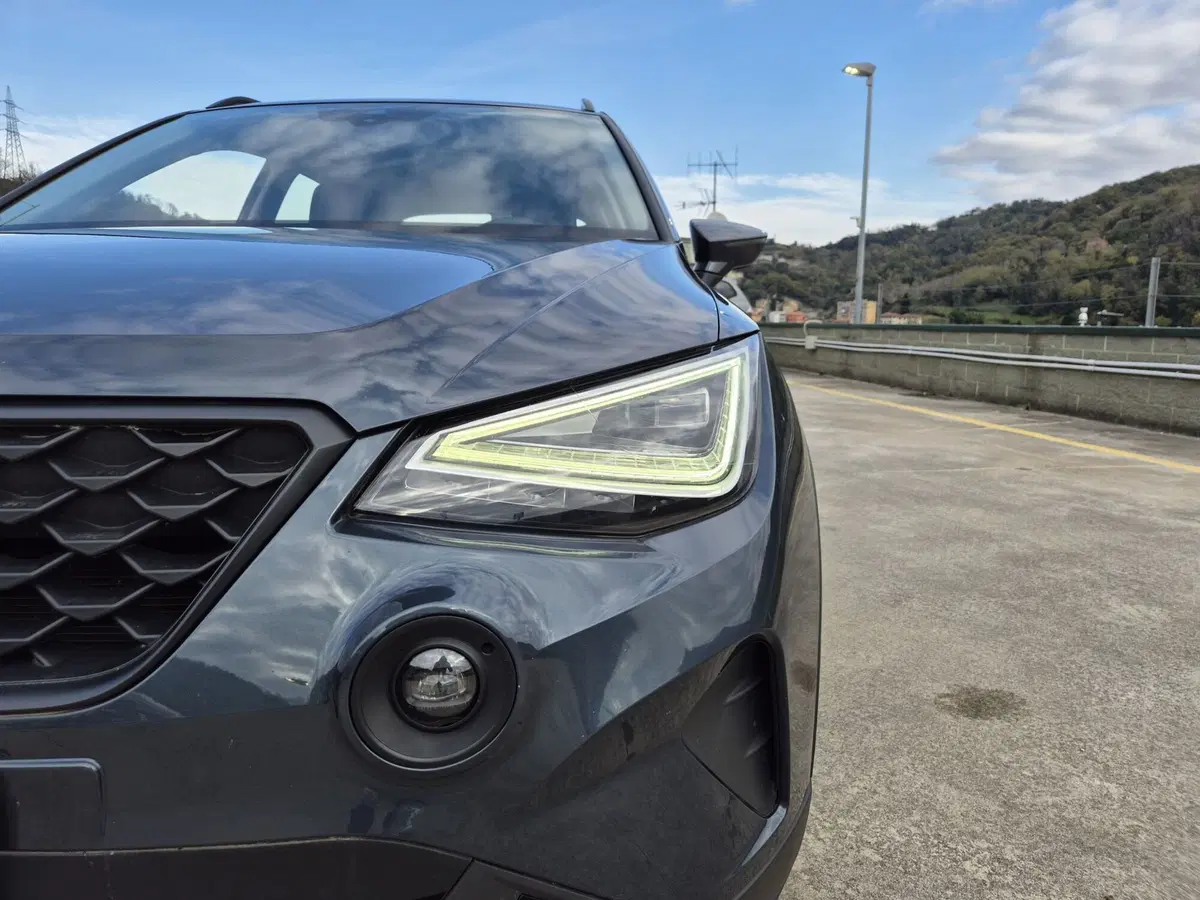 SEAT Arona usata  (15)