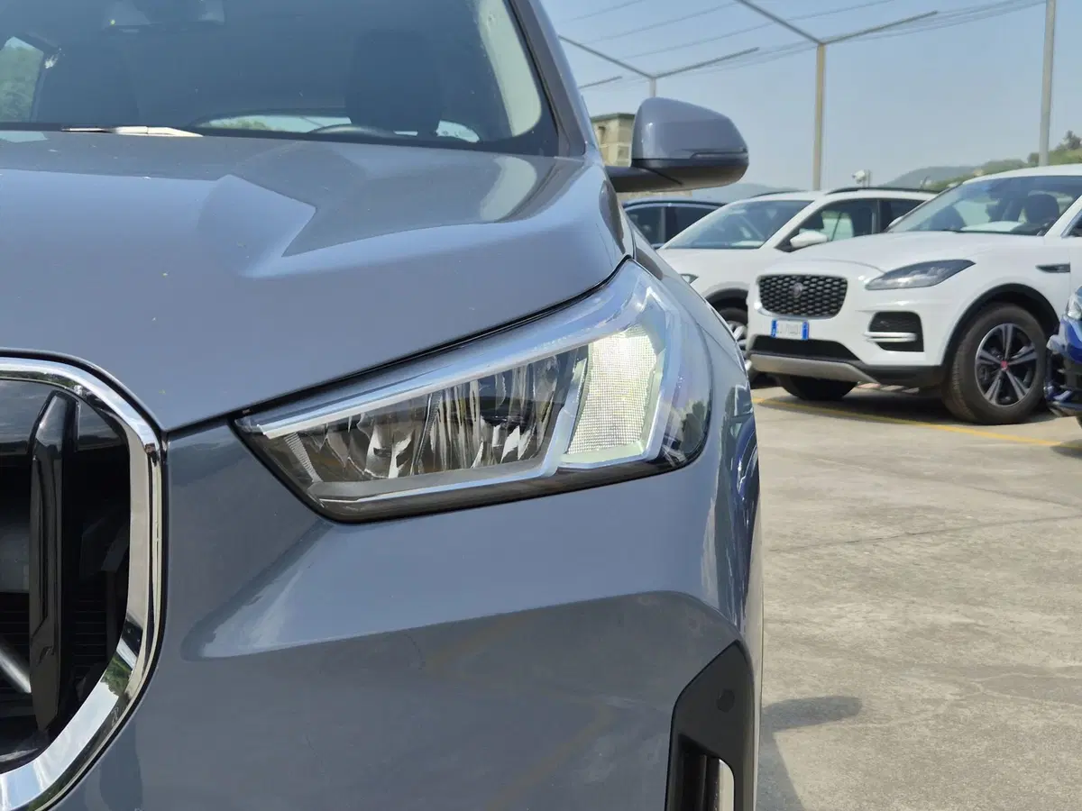 BMW X1 usata  (18)