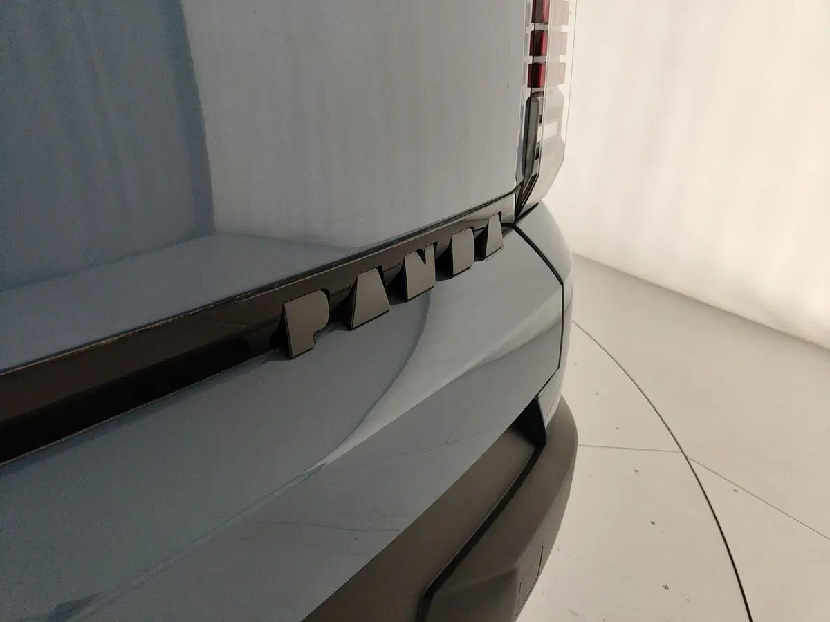 Fiat Grande Panda nuova a Caserta (10)