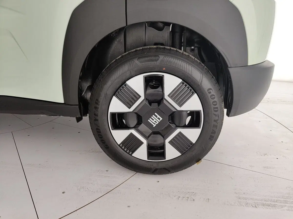 Fiat Grande Panda nuova a Caserta (11)