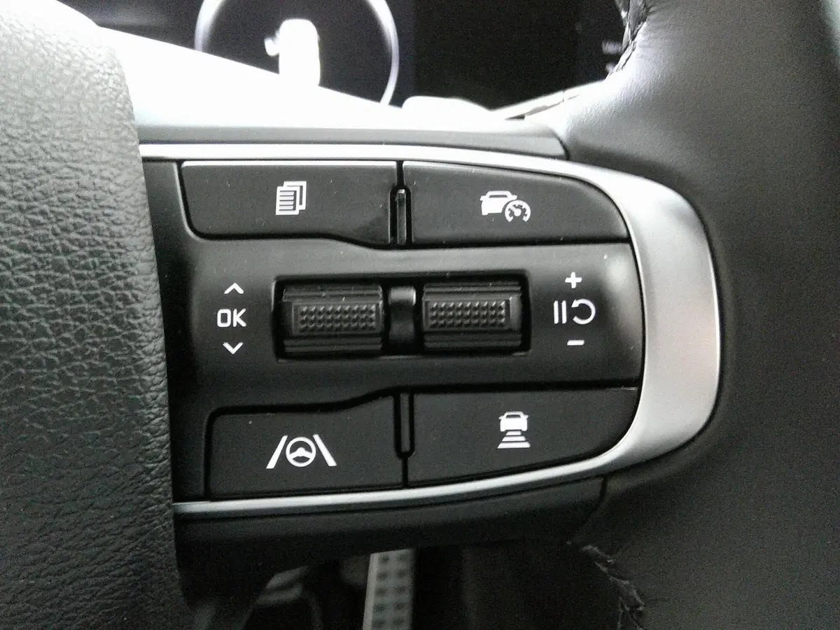Kia Sportage usata a Treviso (18)