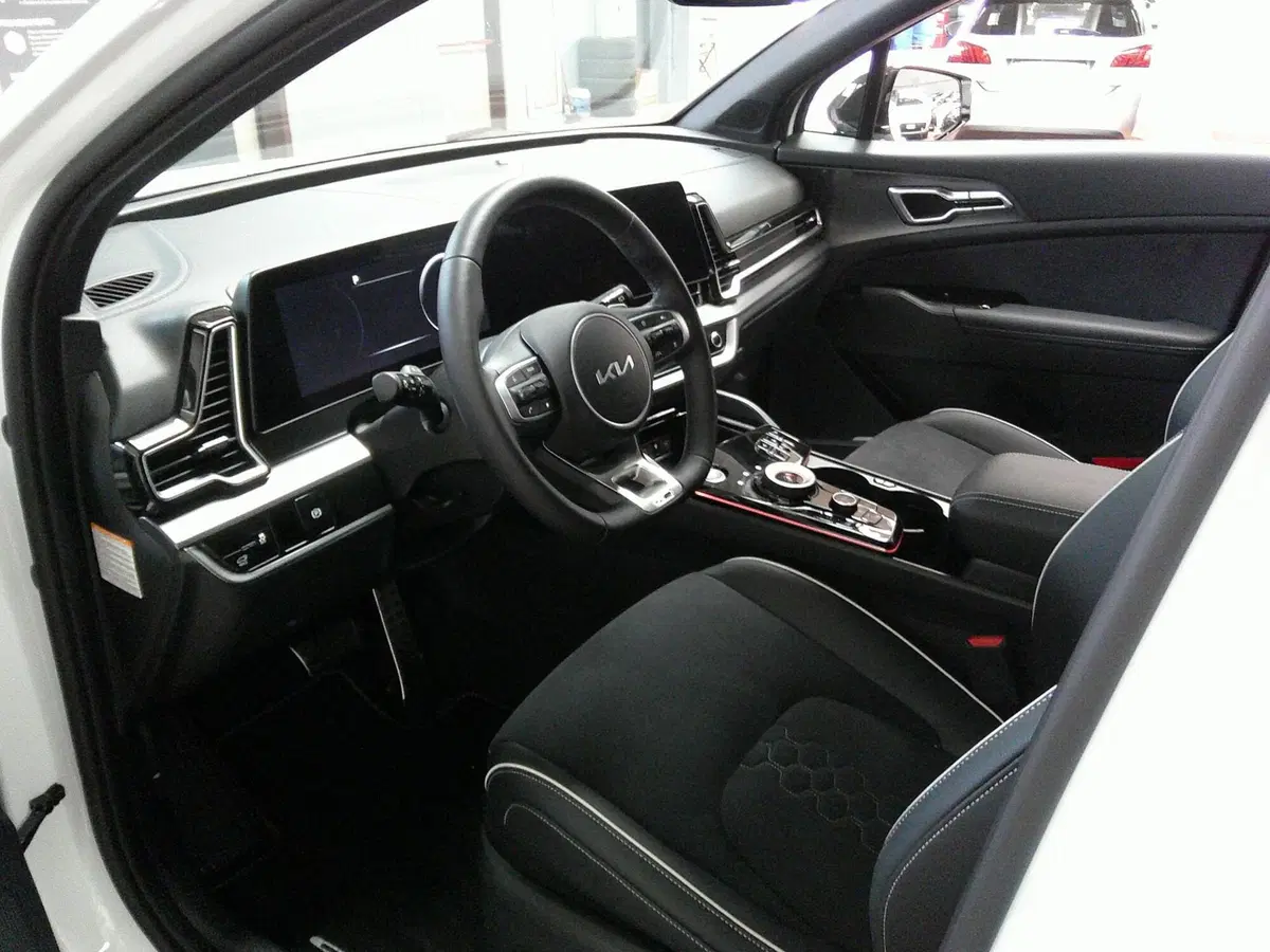 Kia Sportage usata a Treviso (8)