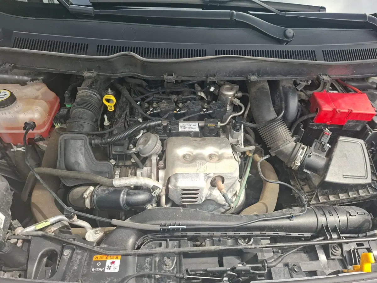 Ford Tourneo Courier usata a Ancona (12)