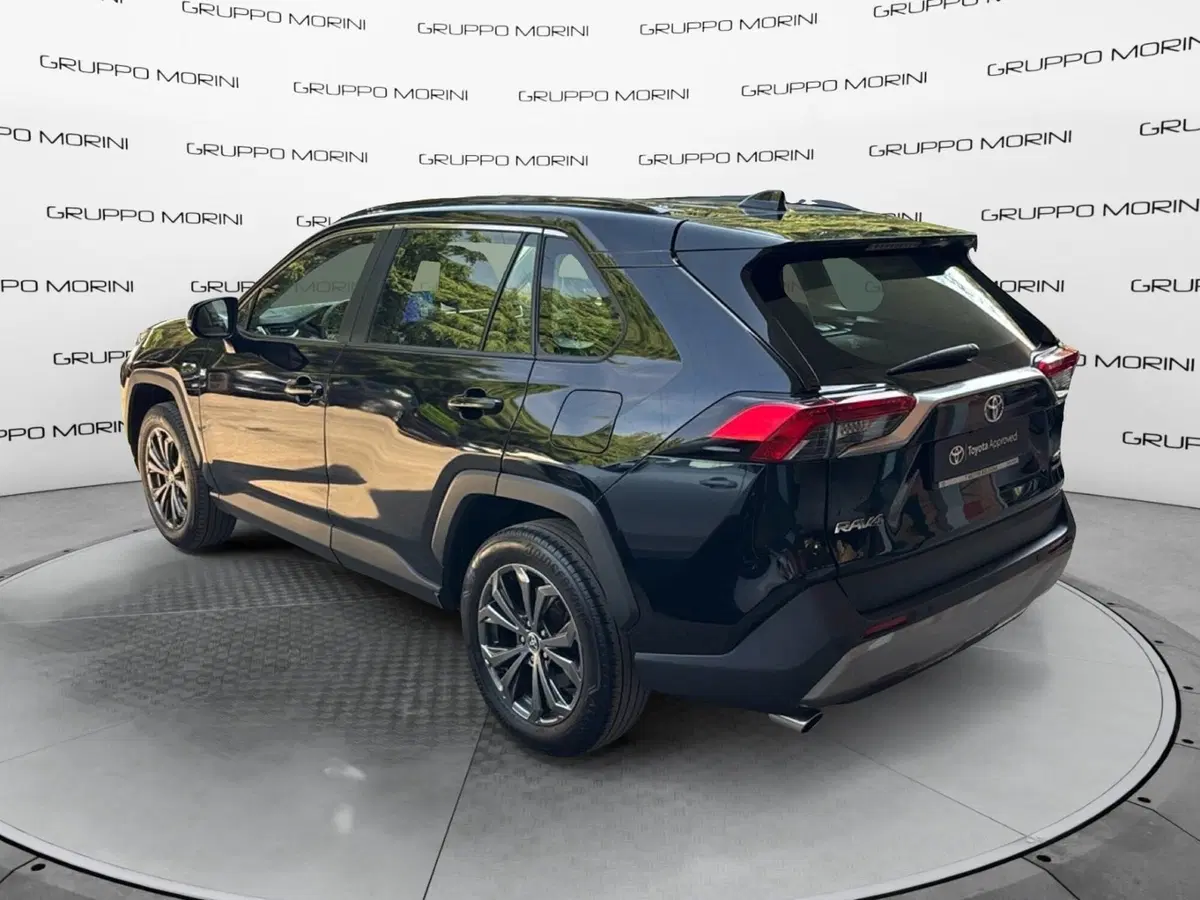 Toyota Rav4 usata a Forlì-Cesena (5)