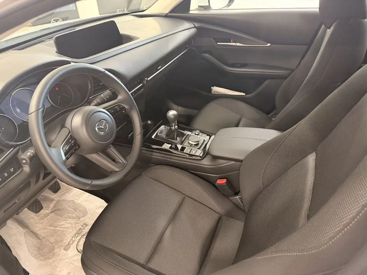 Mazda CX-30 usata a Latina (10)