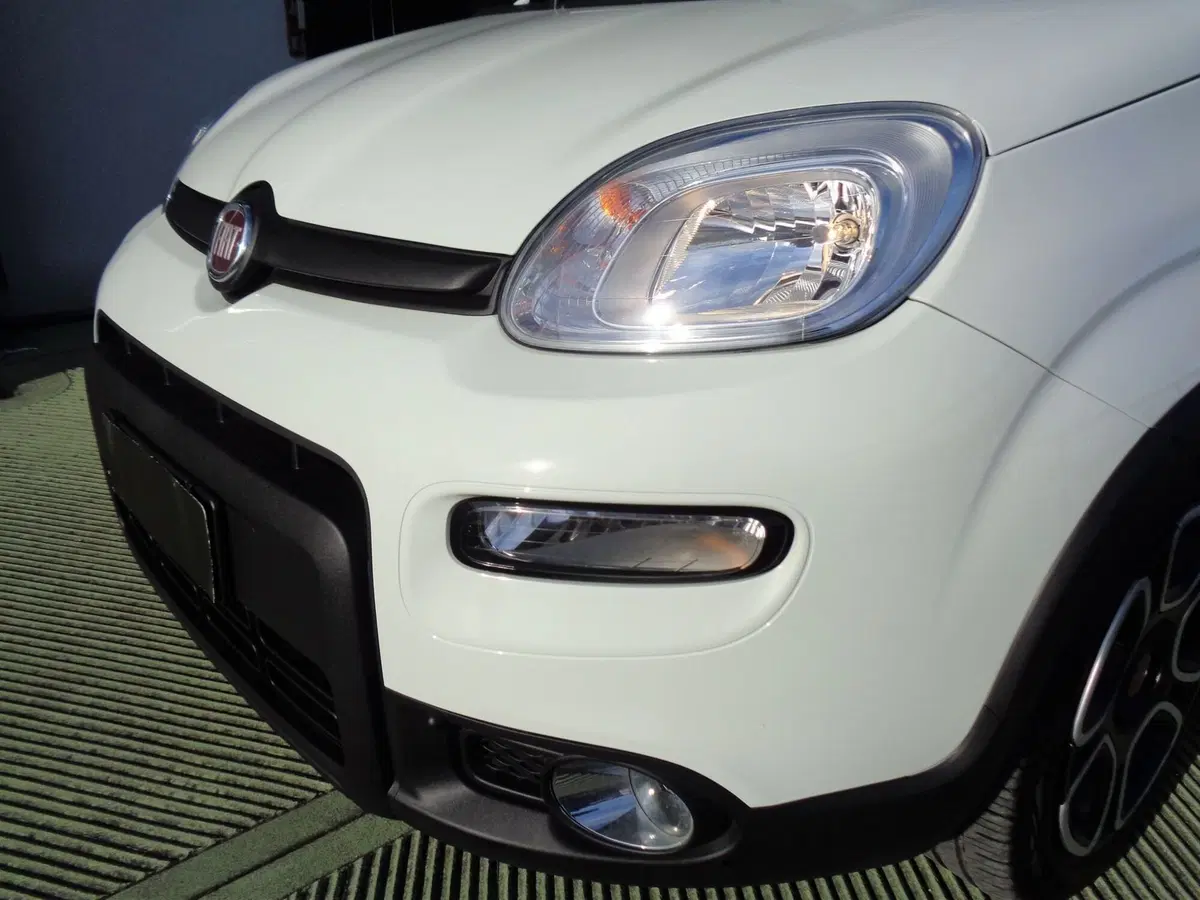 Fiat Panda usata a Belluno (5)