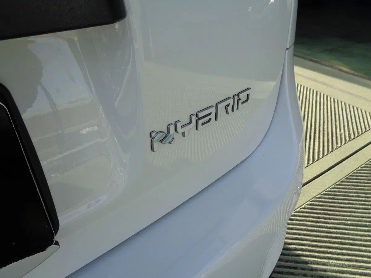 Fiat Panda usata a Treviso (18)