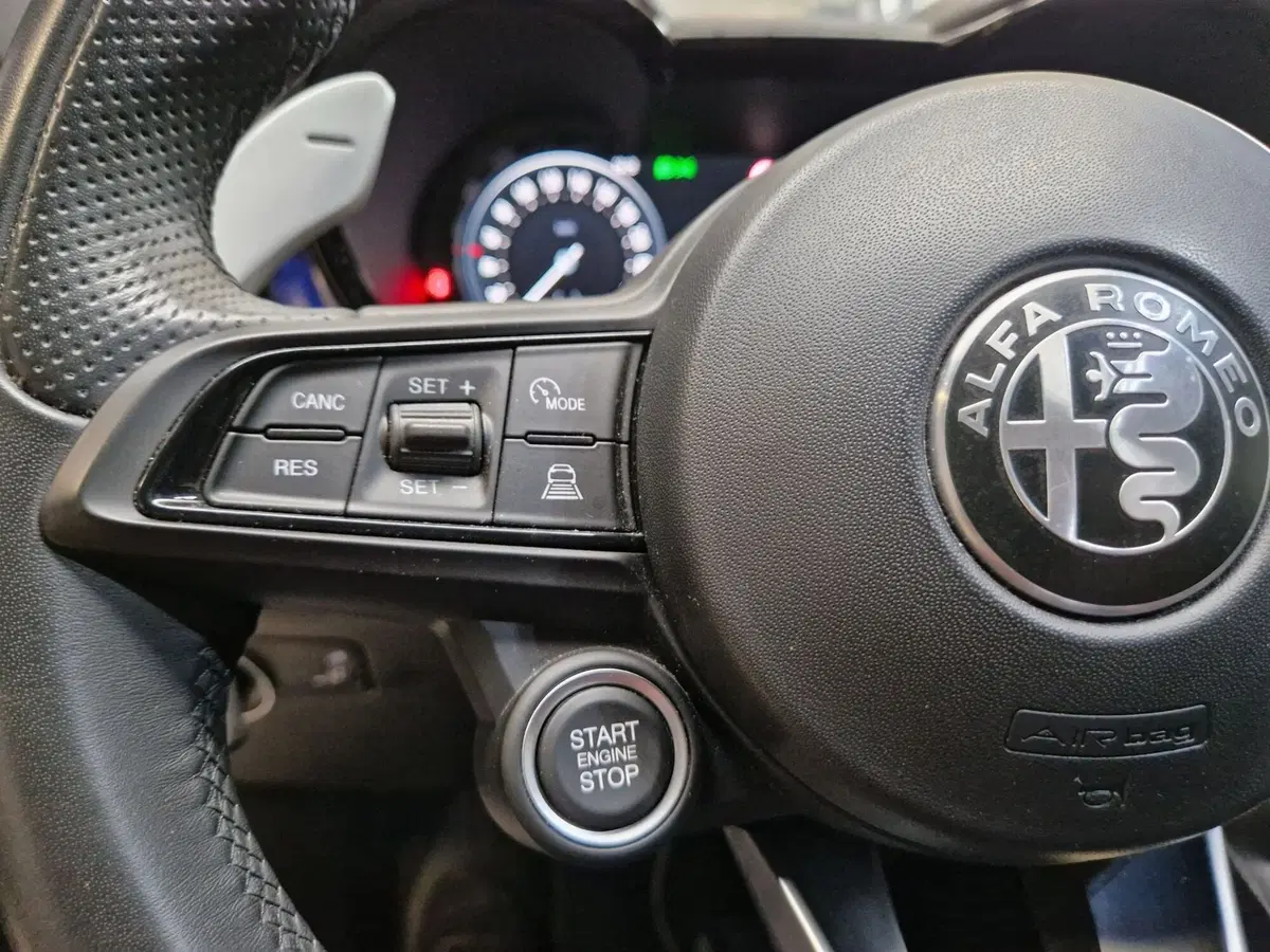 Alfa Romeo Tonale usata a Varese (13)