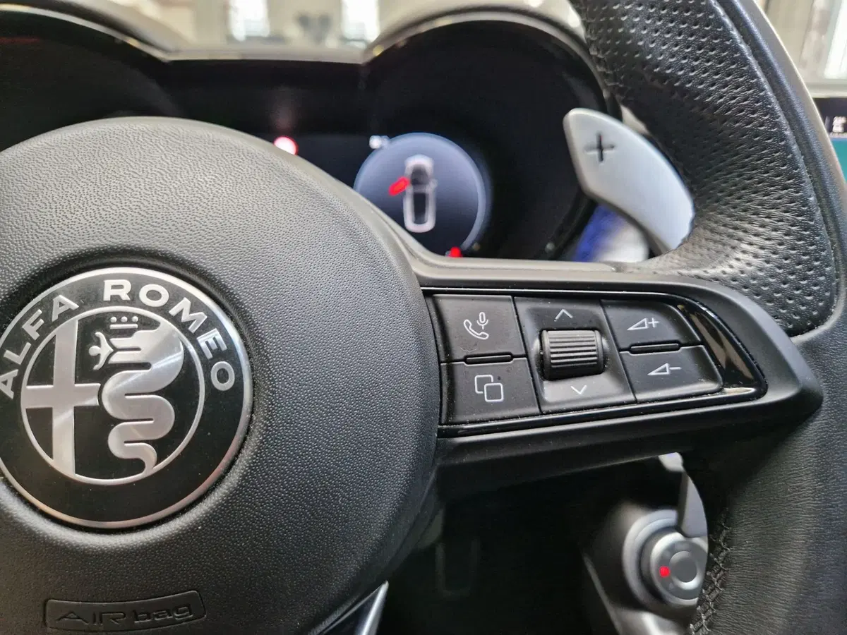Alfa Romeo Tonale usata a Varese (14)
