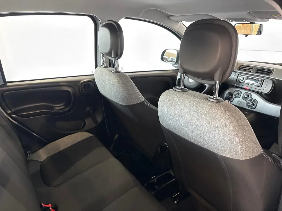 Fiat Panda Cross usata a Monza e Brianza (9)