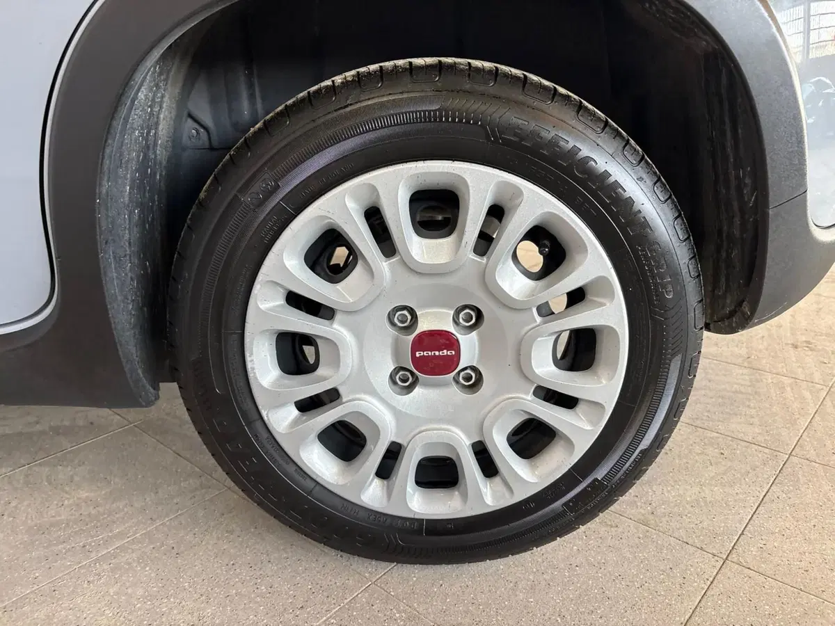 Fiat Panda Cross usata a Monza e Brianza (10)