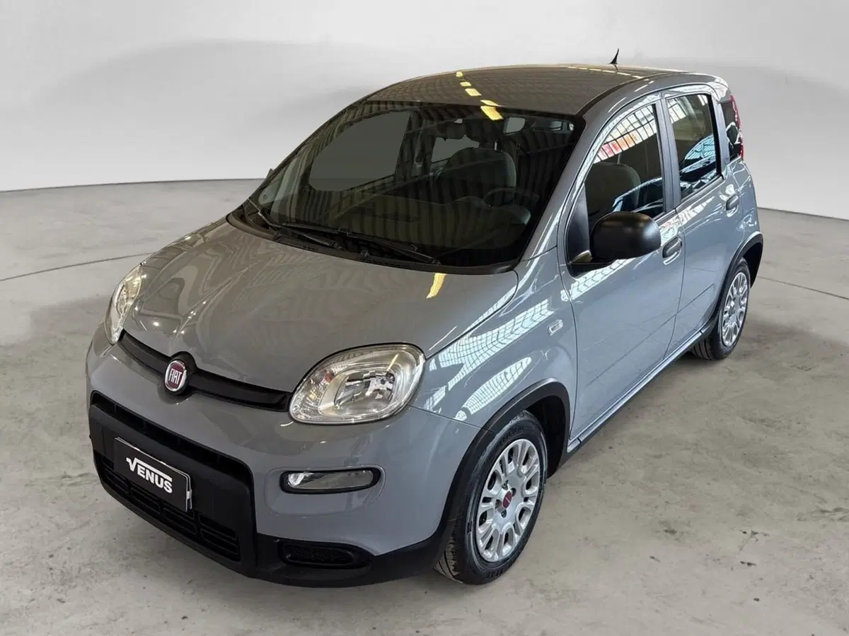 Fiat Panda Cross usata a Monza e Brianza (2)