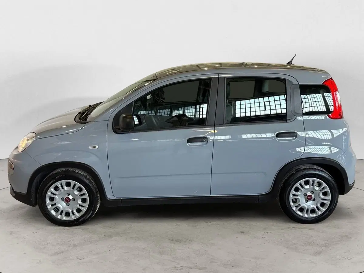 Fiat Panda Cross usata a Monza e Brianza (3)