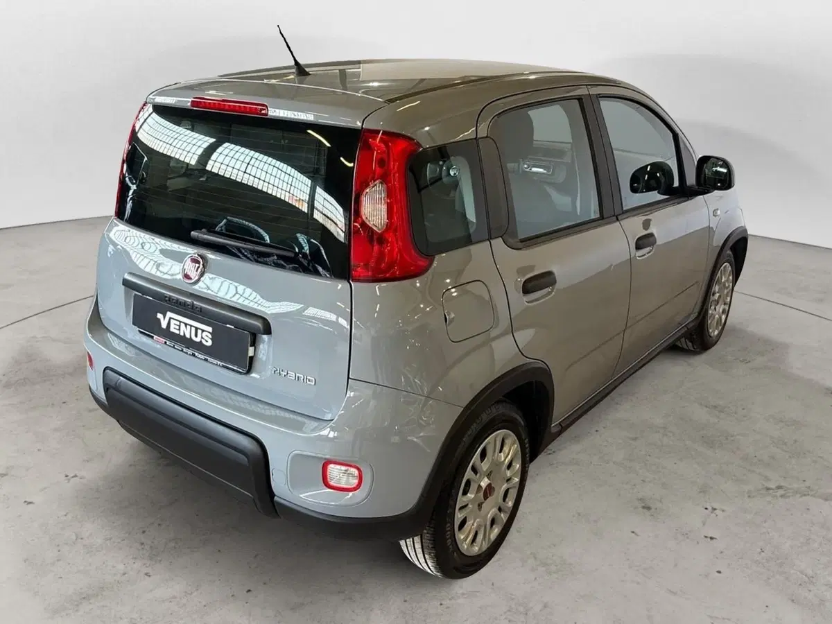 Fiat Panda Cross usata a Monza e Brianza (4)