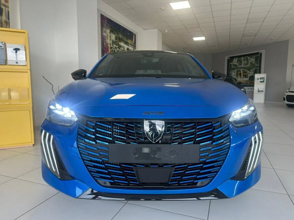 Peugeot 208 nuova a Salerno (16)