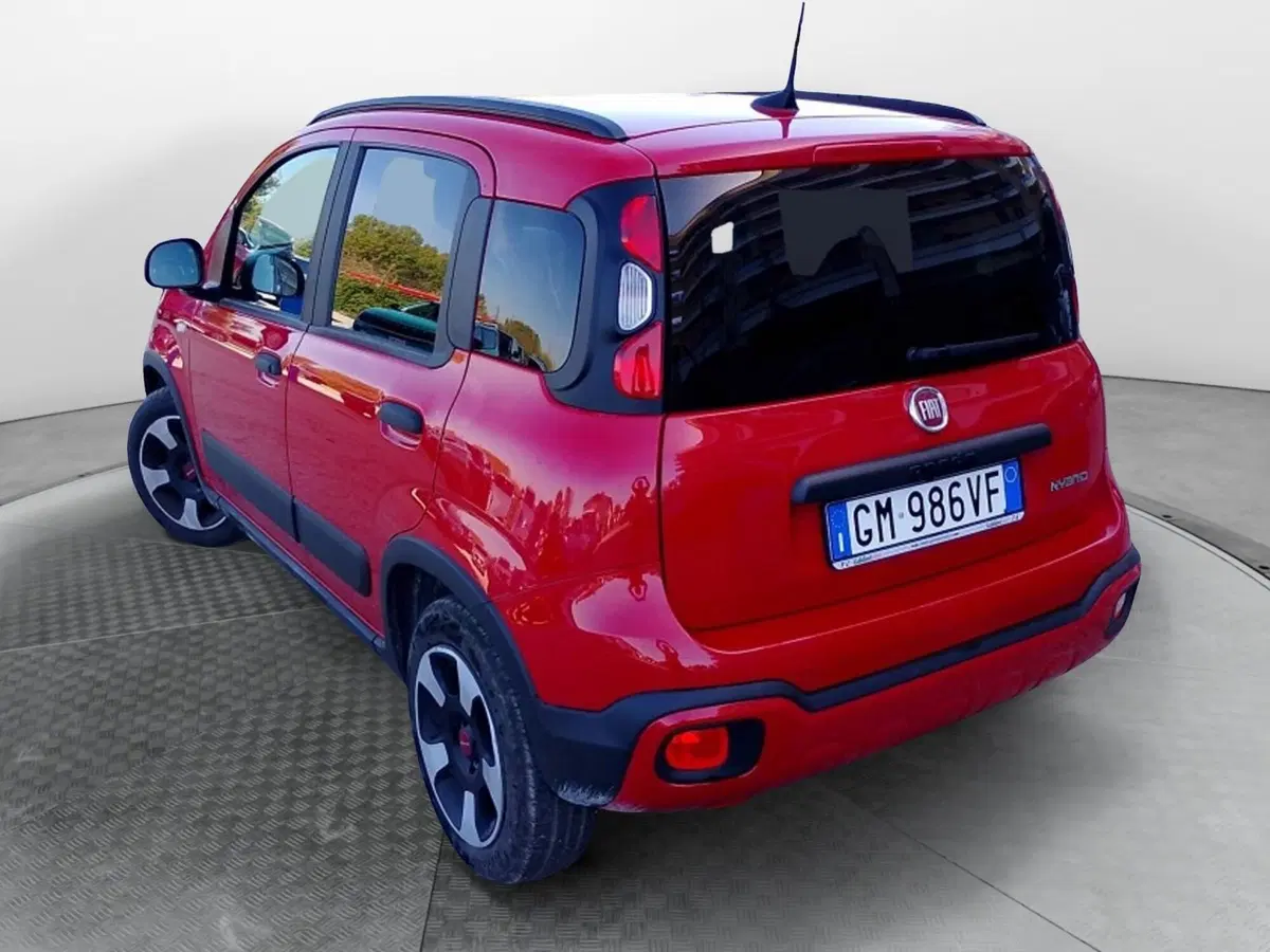 Fiat Panda Cross usata a Salerno (4)