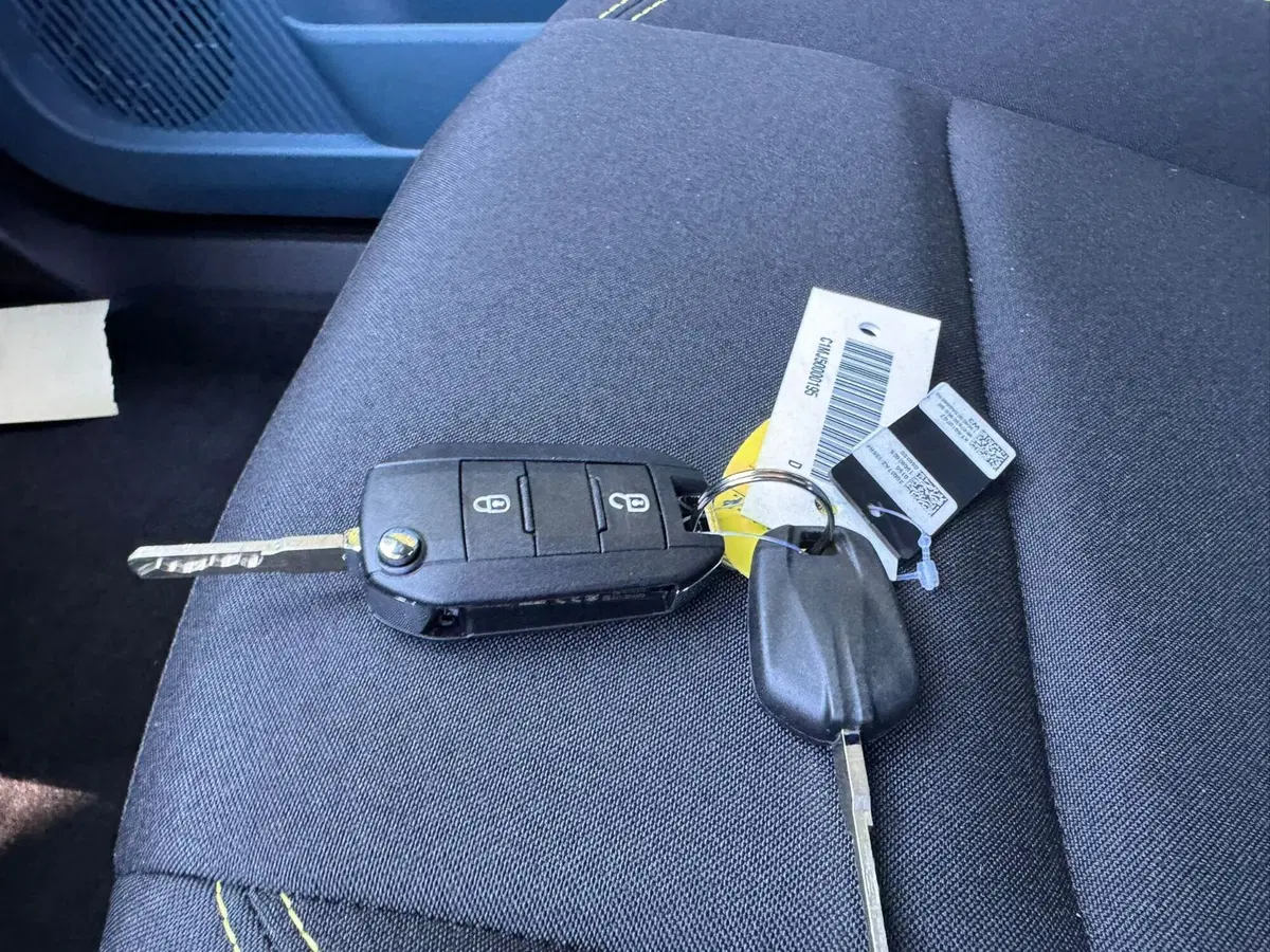 Fiat Grande Panda nuova a Salerno (20)