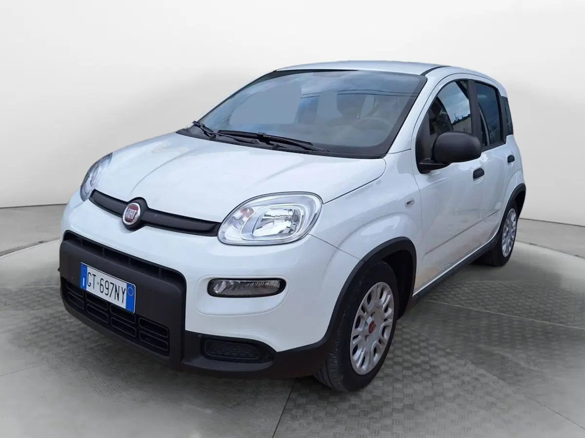 Fiat Panda Cross usata a Salerno