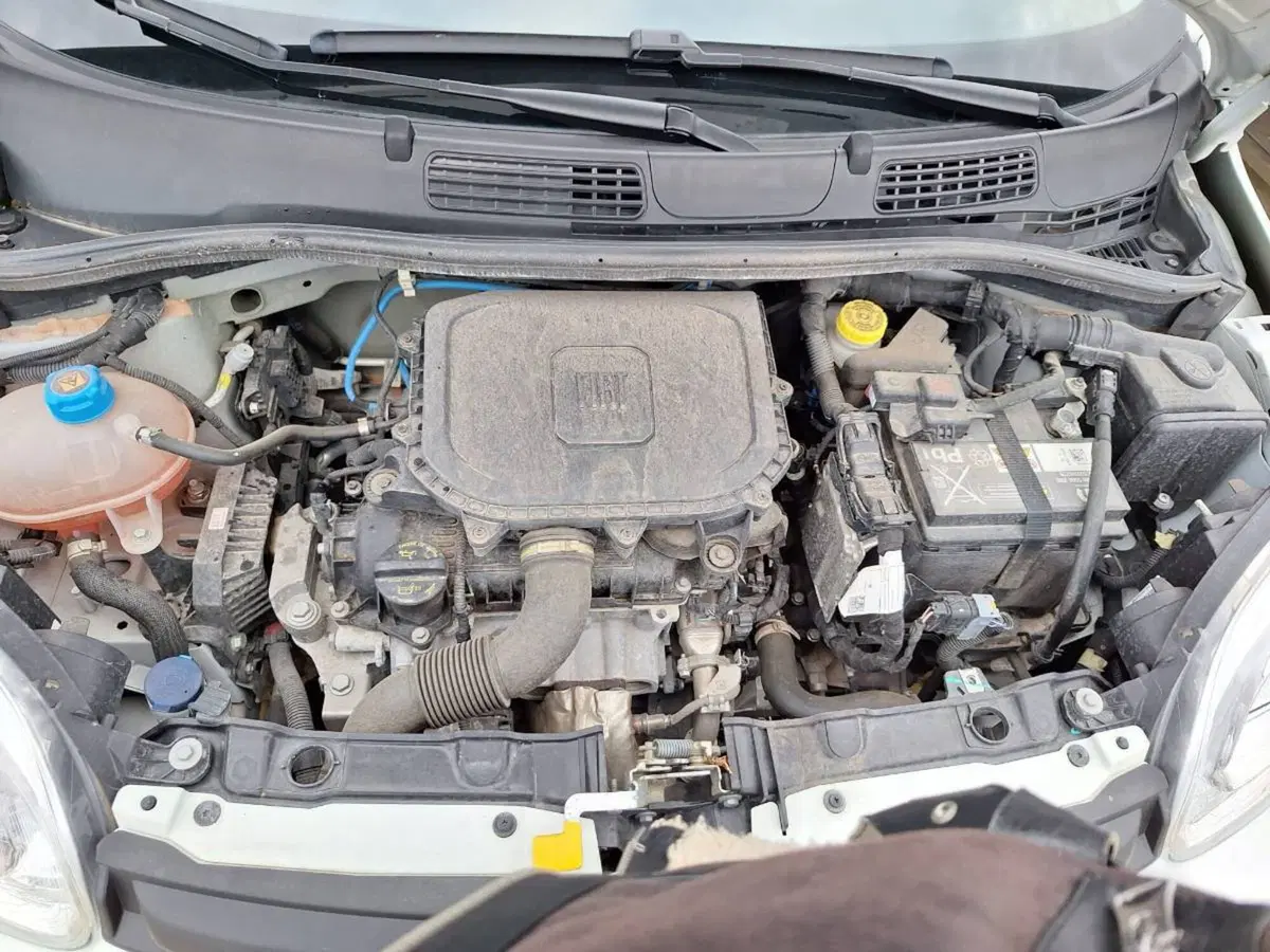 Fiat Panda Cross usata a Salerno (10)