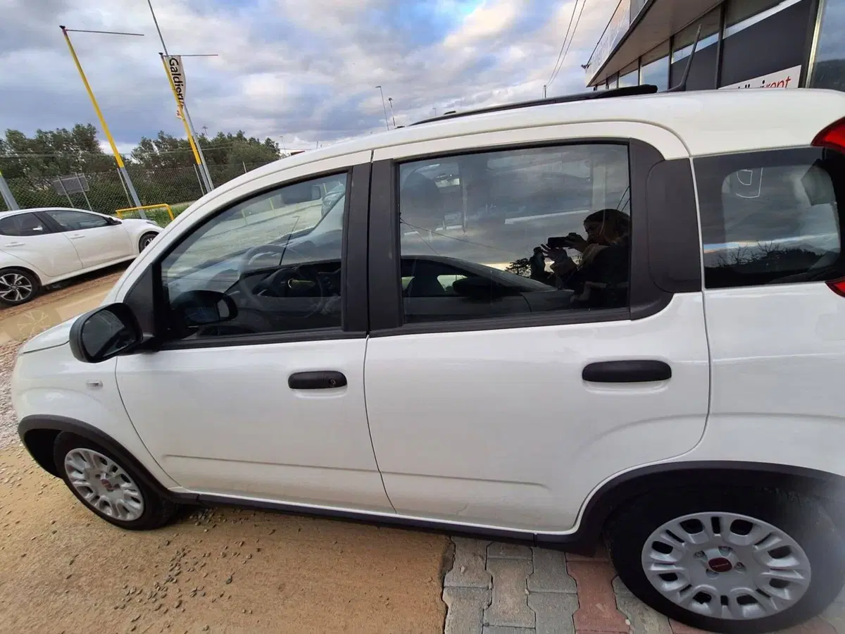 Fiat Panda Cross usata a Salerno (13)