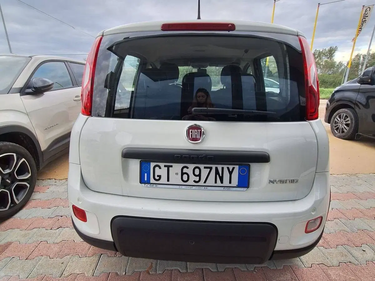 Fiat Panda Cross usata a Salerno (14)