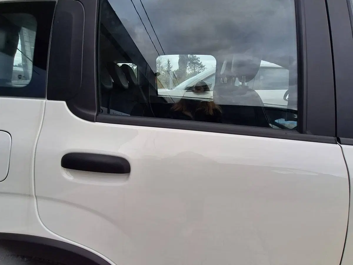 Fiat Panda Cross usata a Salerno (17)