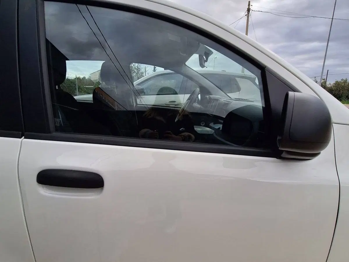 Fiat Panda Cross usata a Salerno (18)