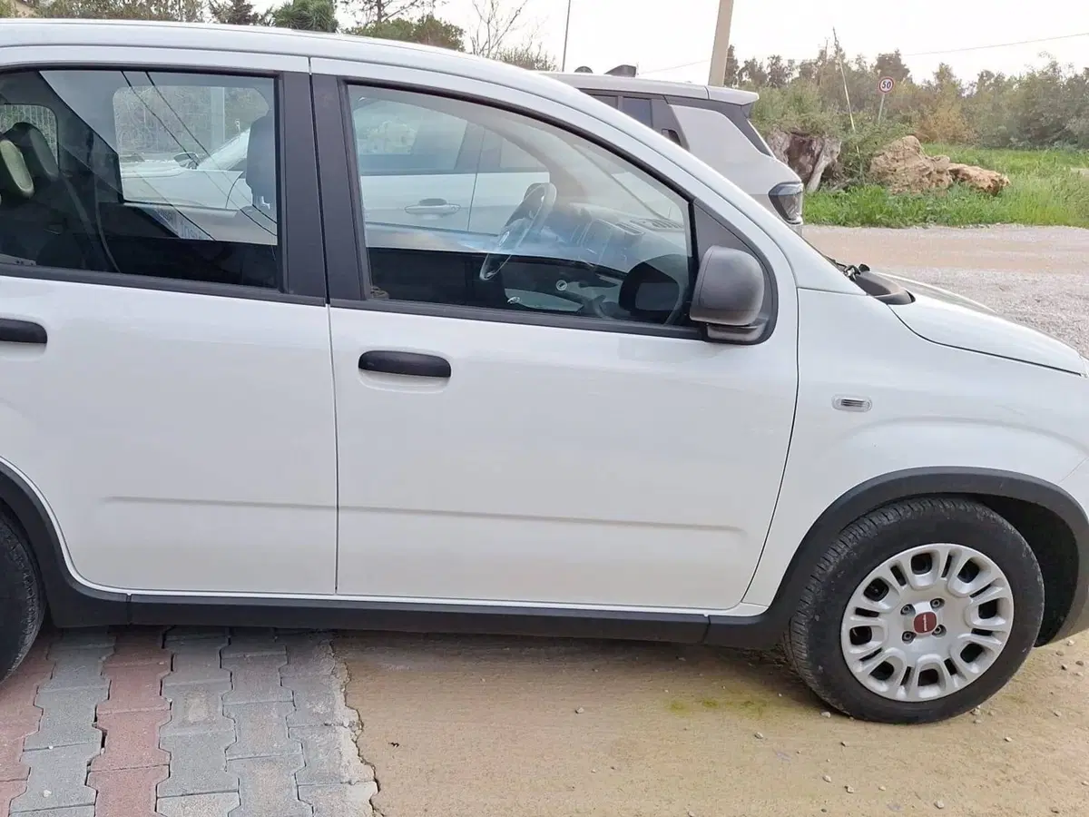 Fiat Panda Cross usata a Salerno (19)