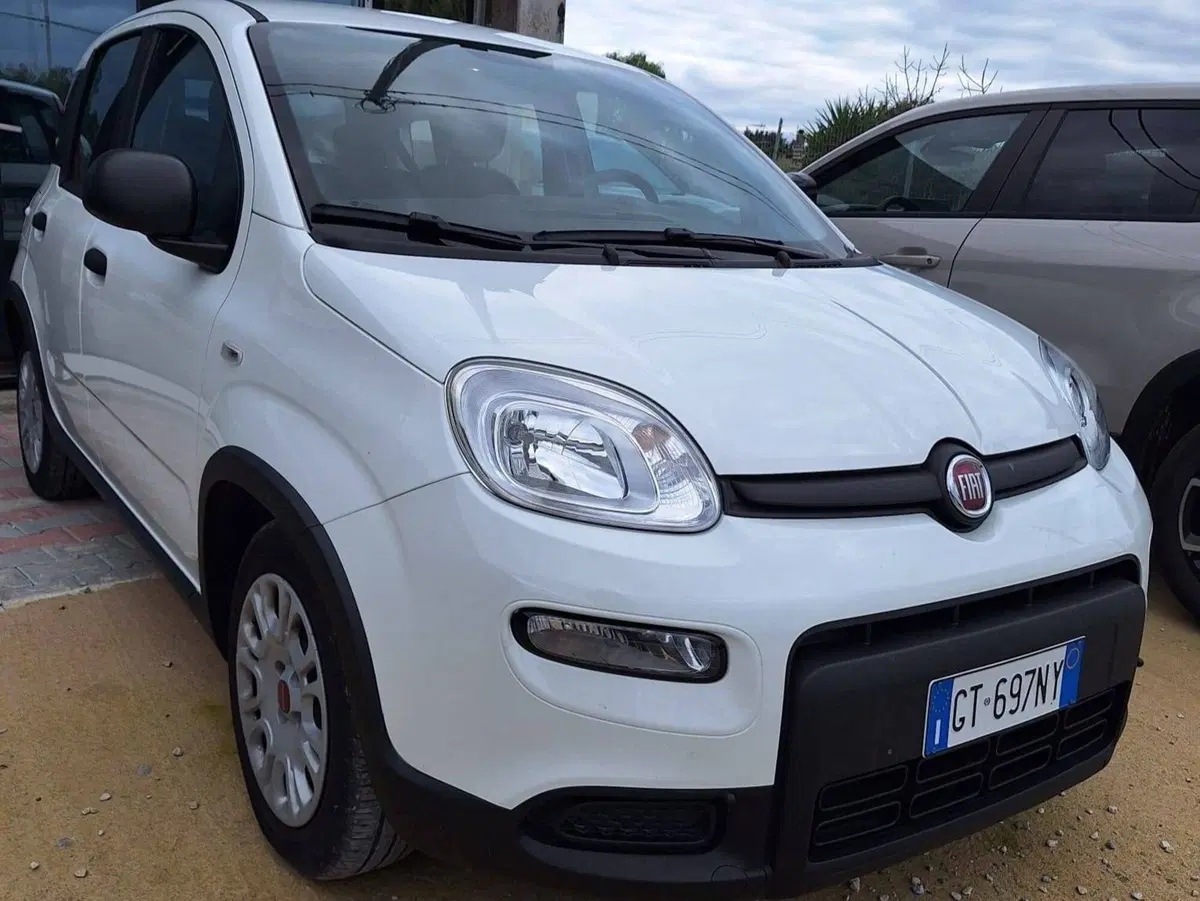 Fiat Panda Cross usata a Salerno (2)