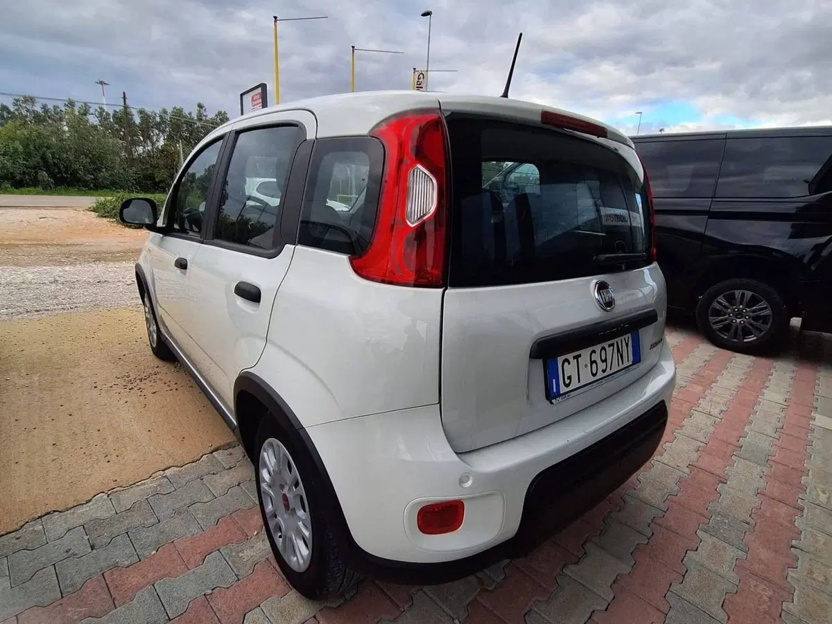 Fiat Panda Cross usata a Salerno (3)