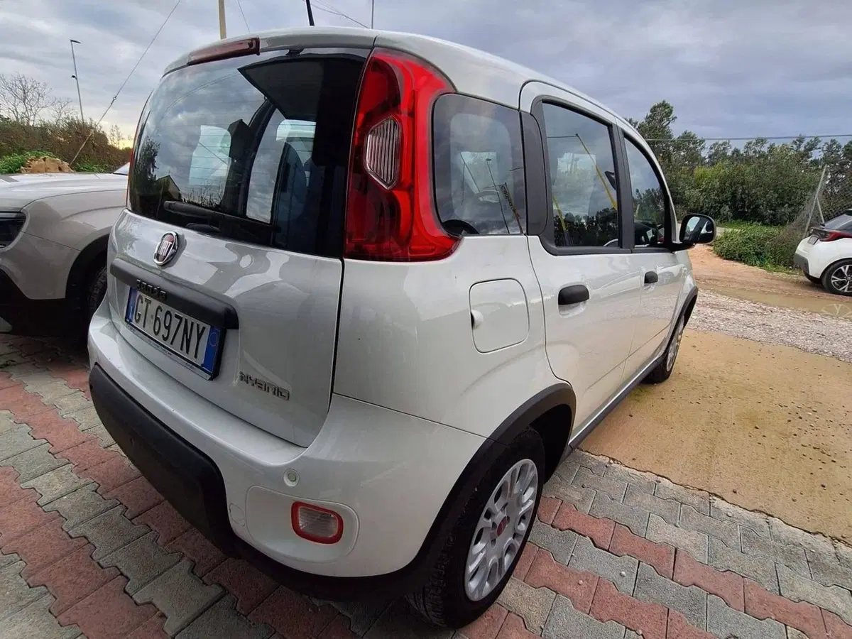 Fiat Panda Cross usata a Salerno (4)