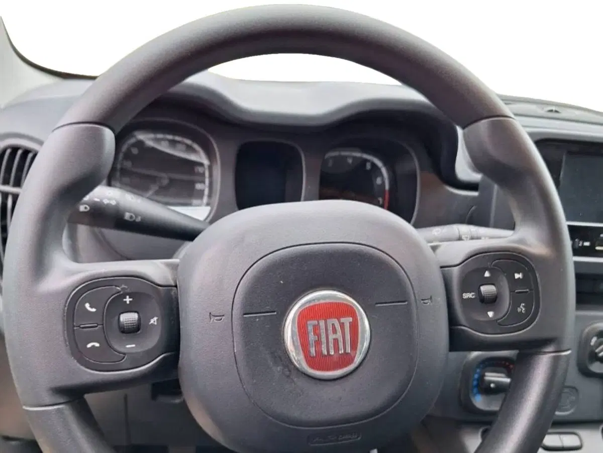 Fiat Panda Cross usata a Salerno (5)