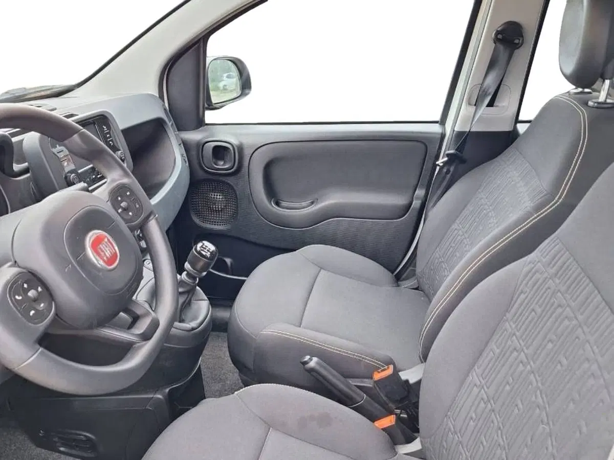 Fiat Panda Cross usata a Salerno (6)